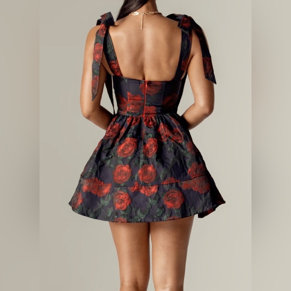 NWT Alieva Janequa Rose Corset Mini Dress - Picture 2 of 6